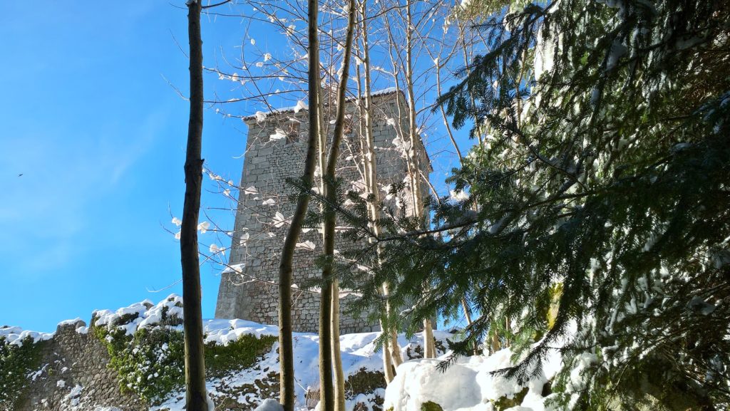 WP_20171203_12_27_54_Pro_LI (2)